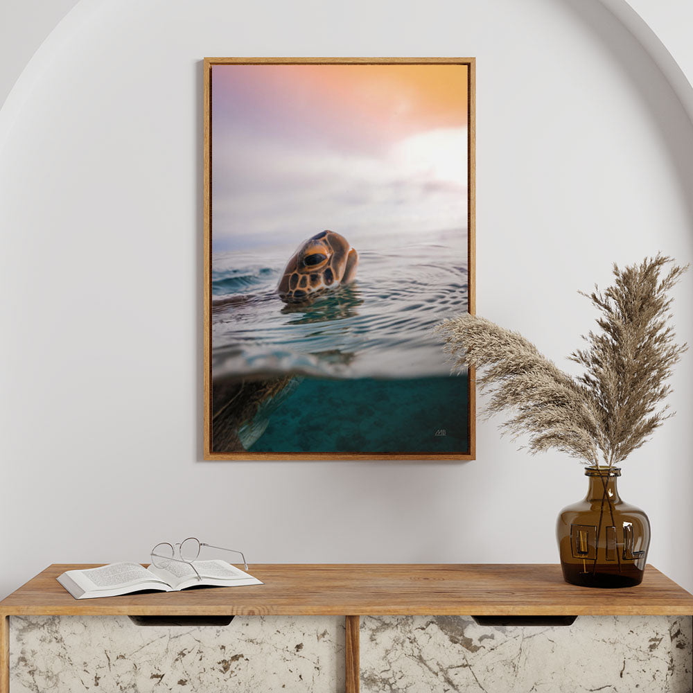 Why Coastal-Cottage Interiors Are Defining 2026: Calm, Craft and Seasi ...