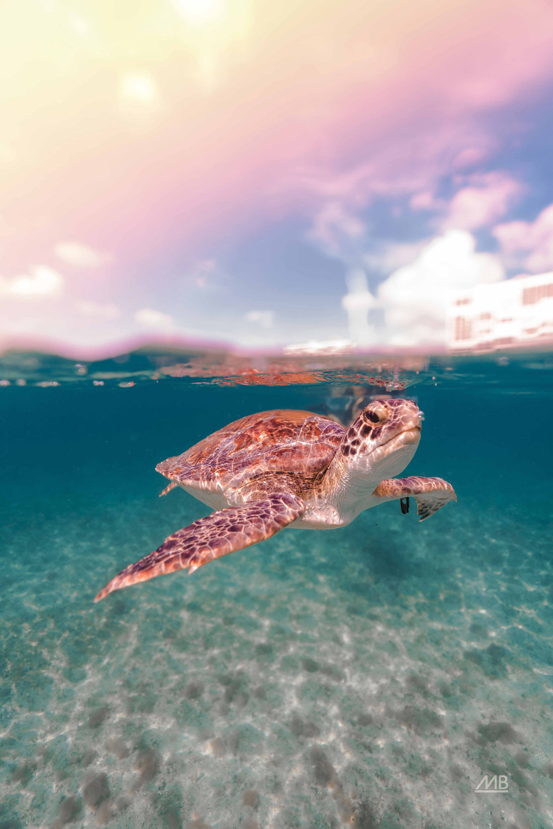 Aerial beach photography drone shot suitable for canvas wall art