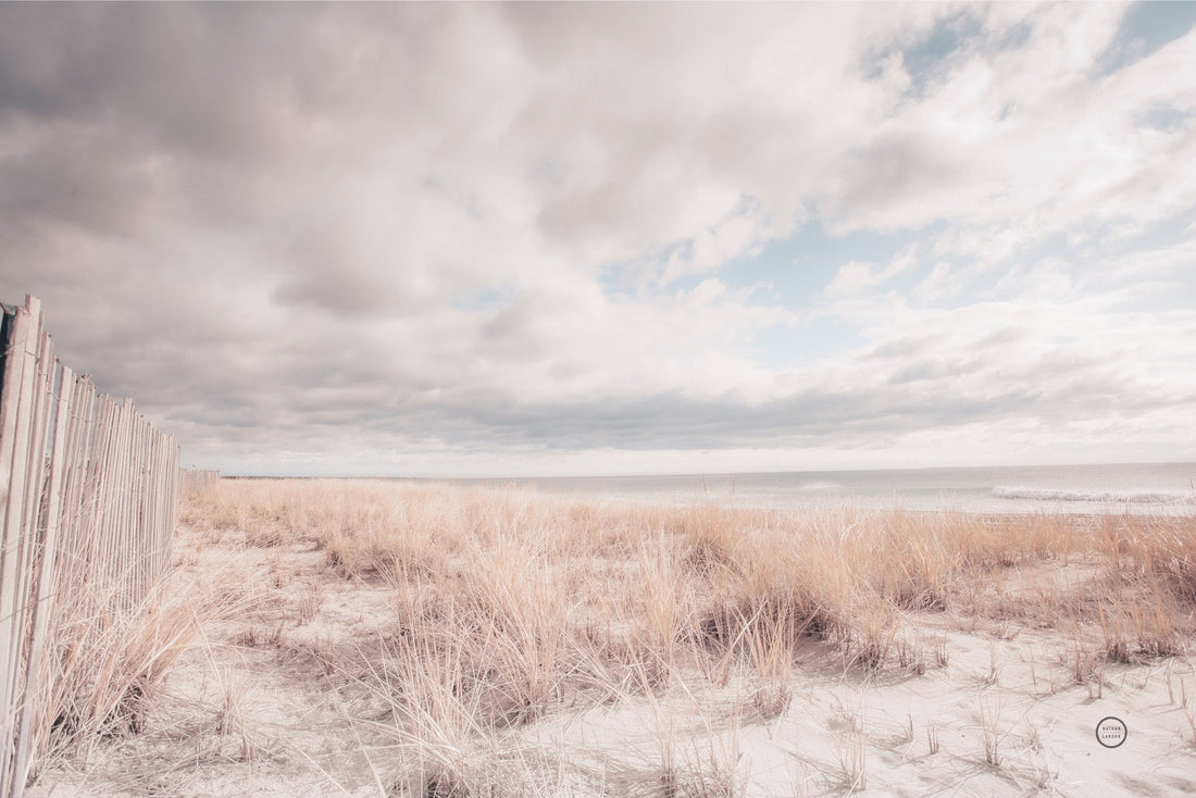 Atlantic Coast Afternoon Soft canvas in oak and black frames compared side by side