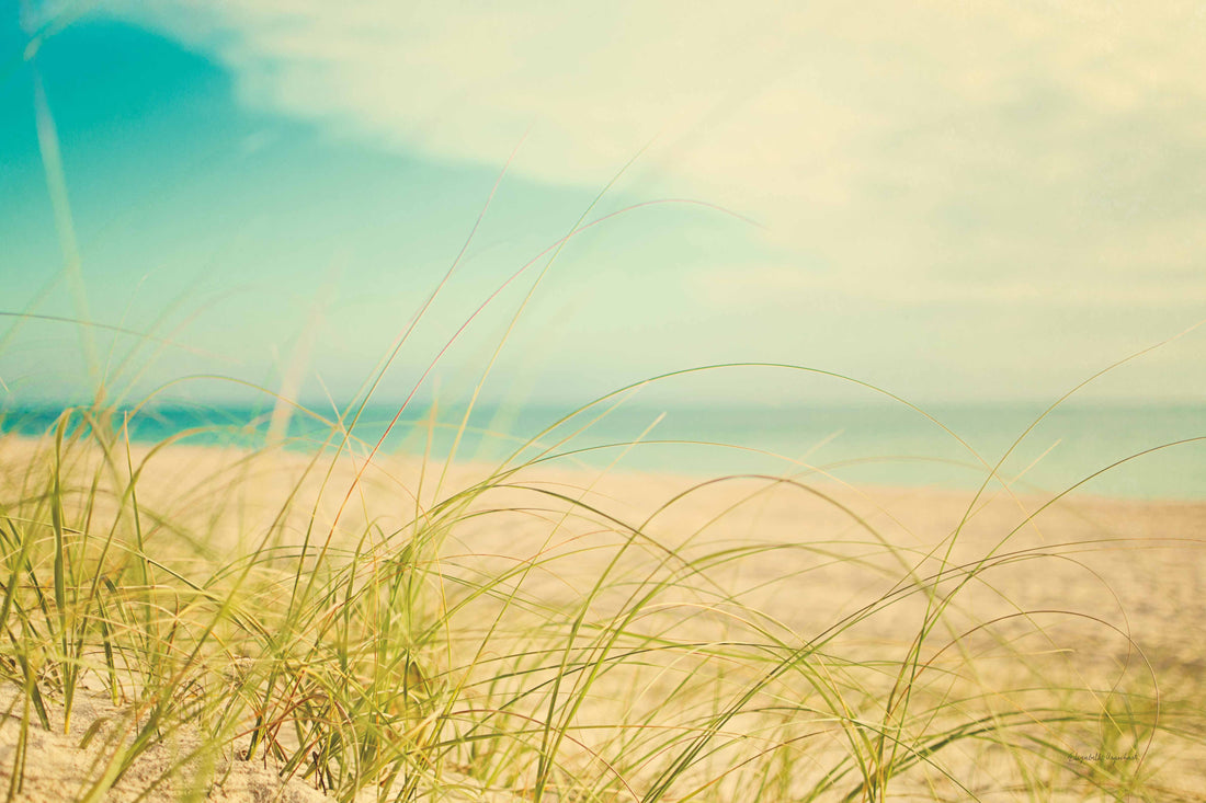 Coastal grass and native plant wall art in an Australian beach house