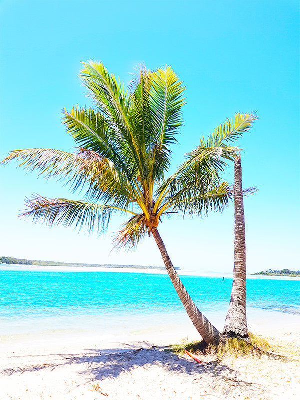 A canvas of Noosa River as wall art in an Australian coastal home