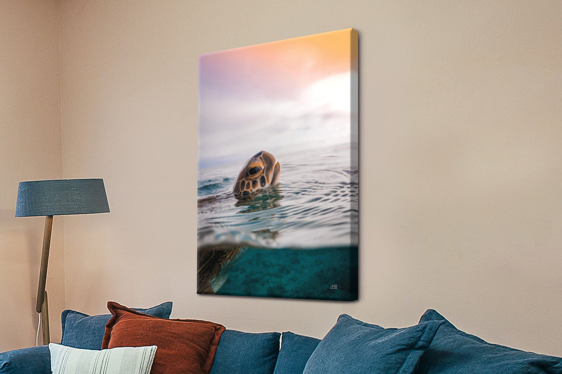 Canvas vs Framed Prints: The Complete Guide to Choosing the Right Wall Art for Coastal Homes
