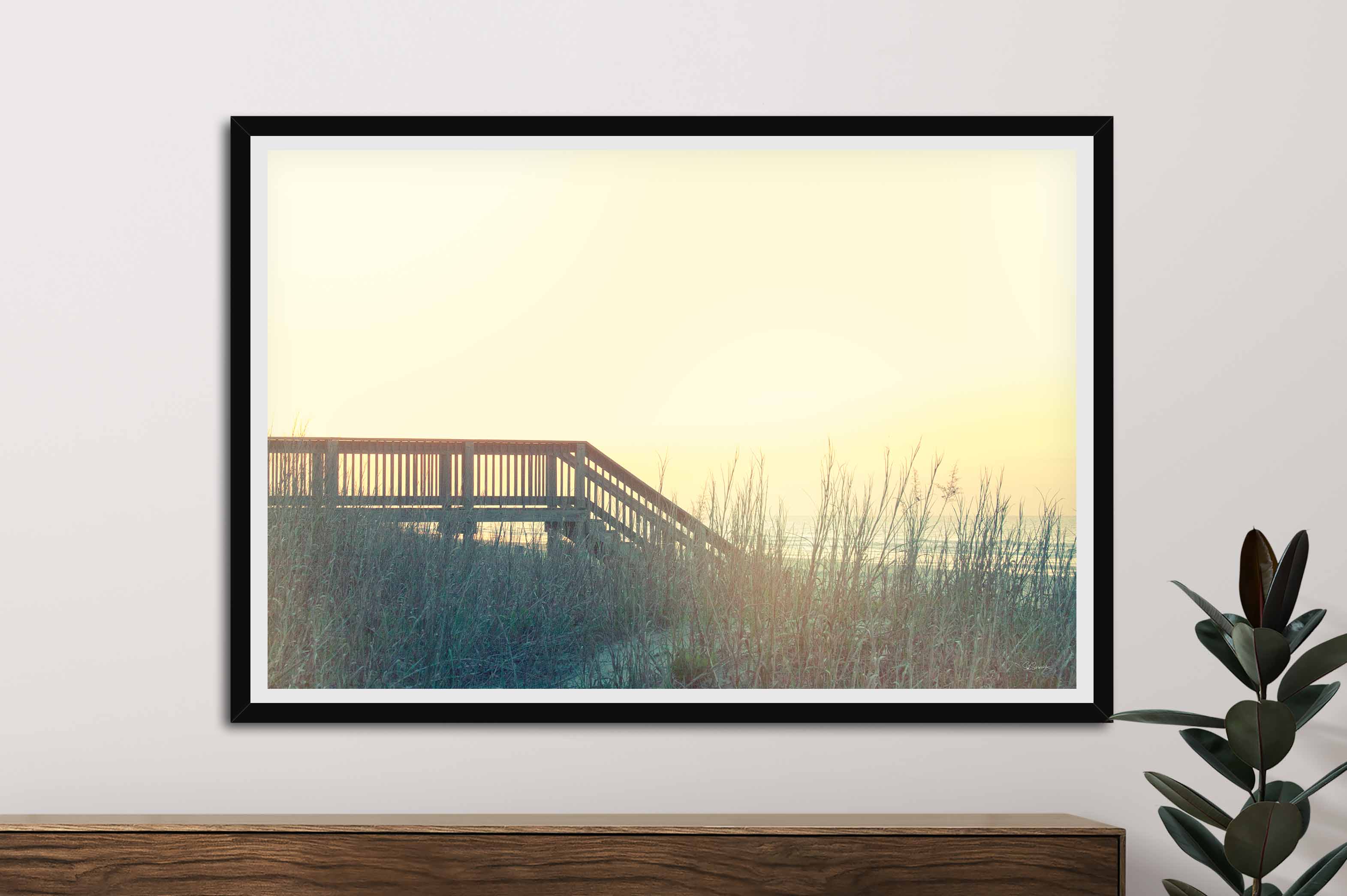 Boardwalk to the Beach