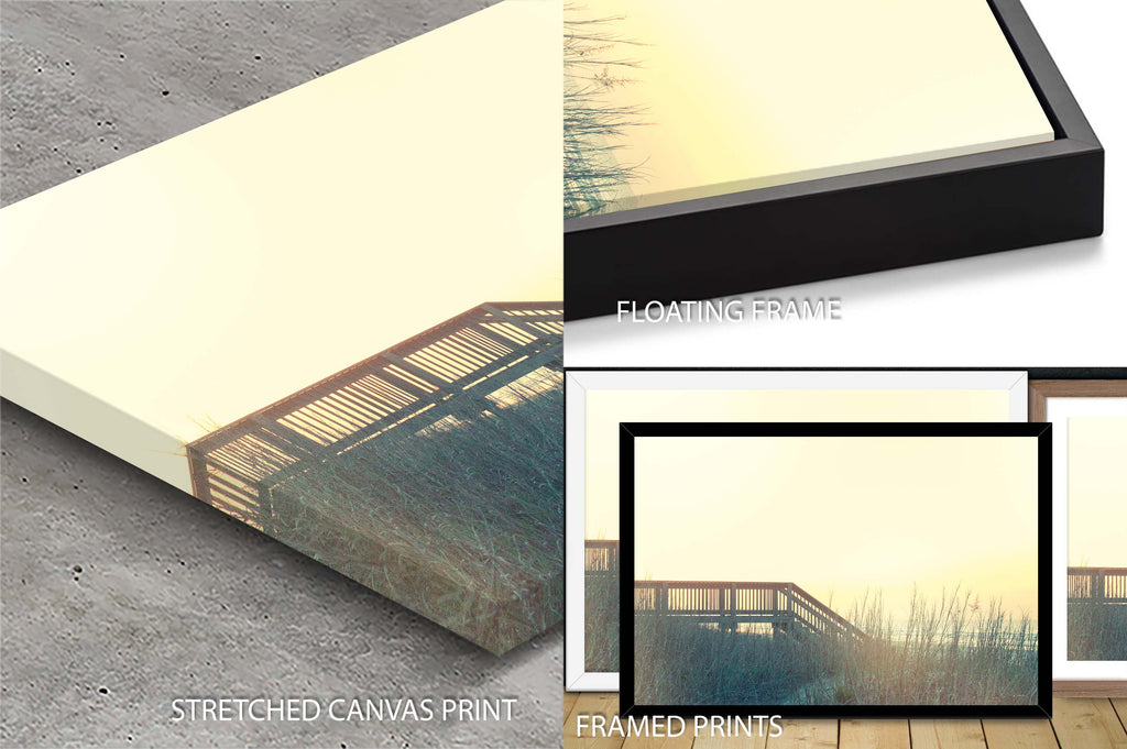 Boardwalk to the Beach