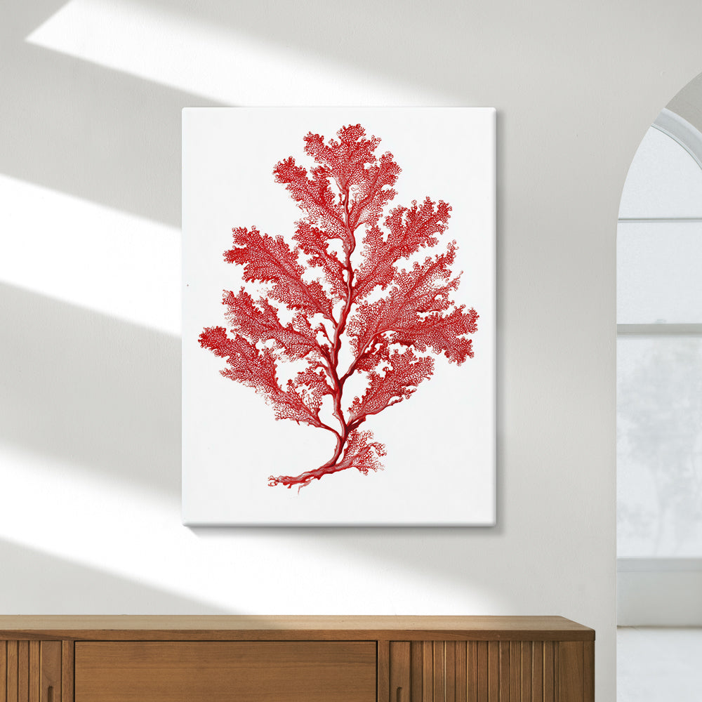 Botanical Red Coral I