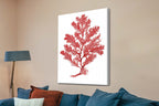 Botanical Red Coral I