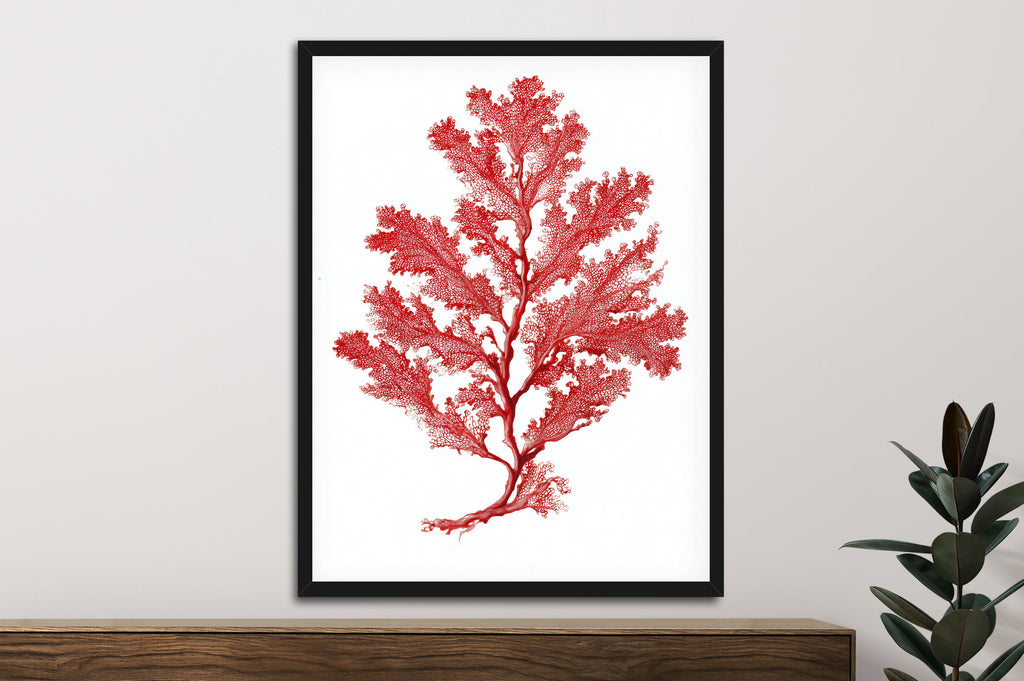 Botanical Red Coral I
