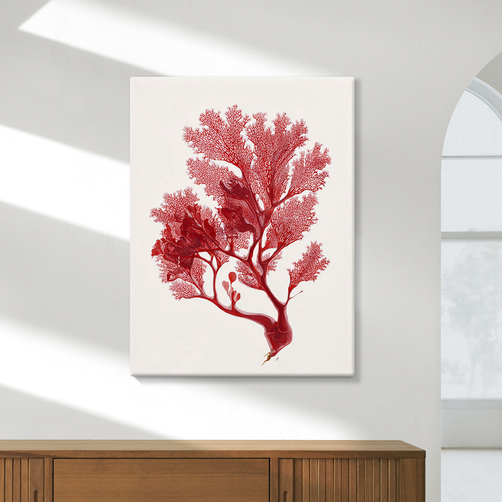 Botanical Red Coral II