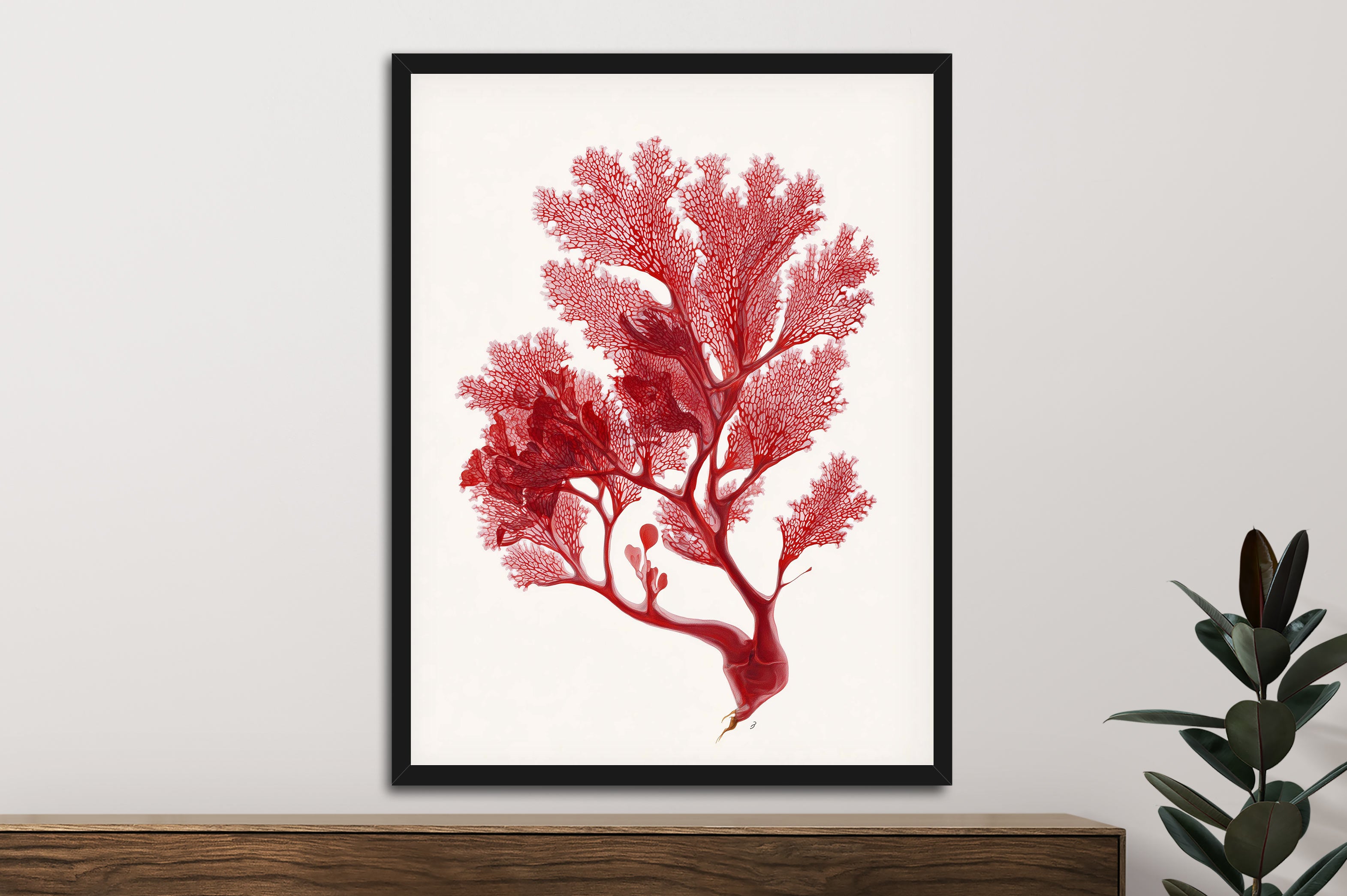 Botanical Red Coral II