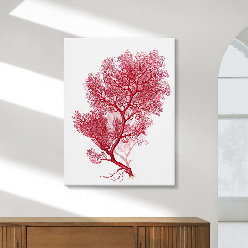 Botanical Red Coral III