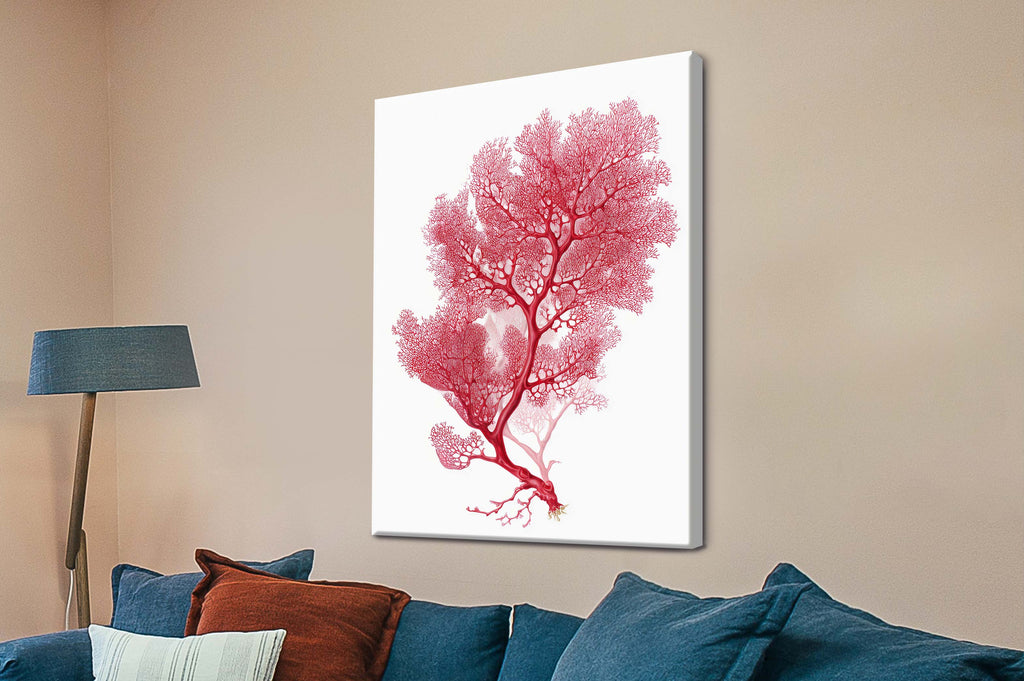 Botanical Red Coral III