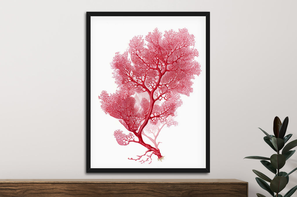 Botanical Red Coral III
