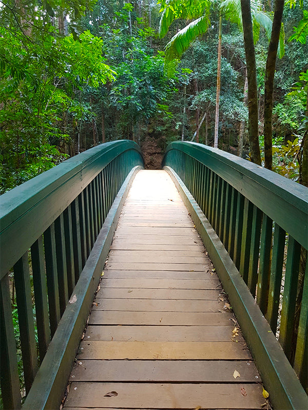 Bridge To Buderim