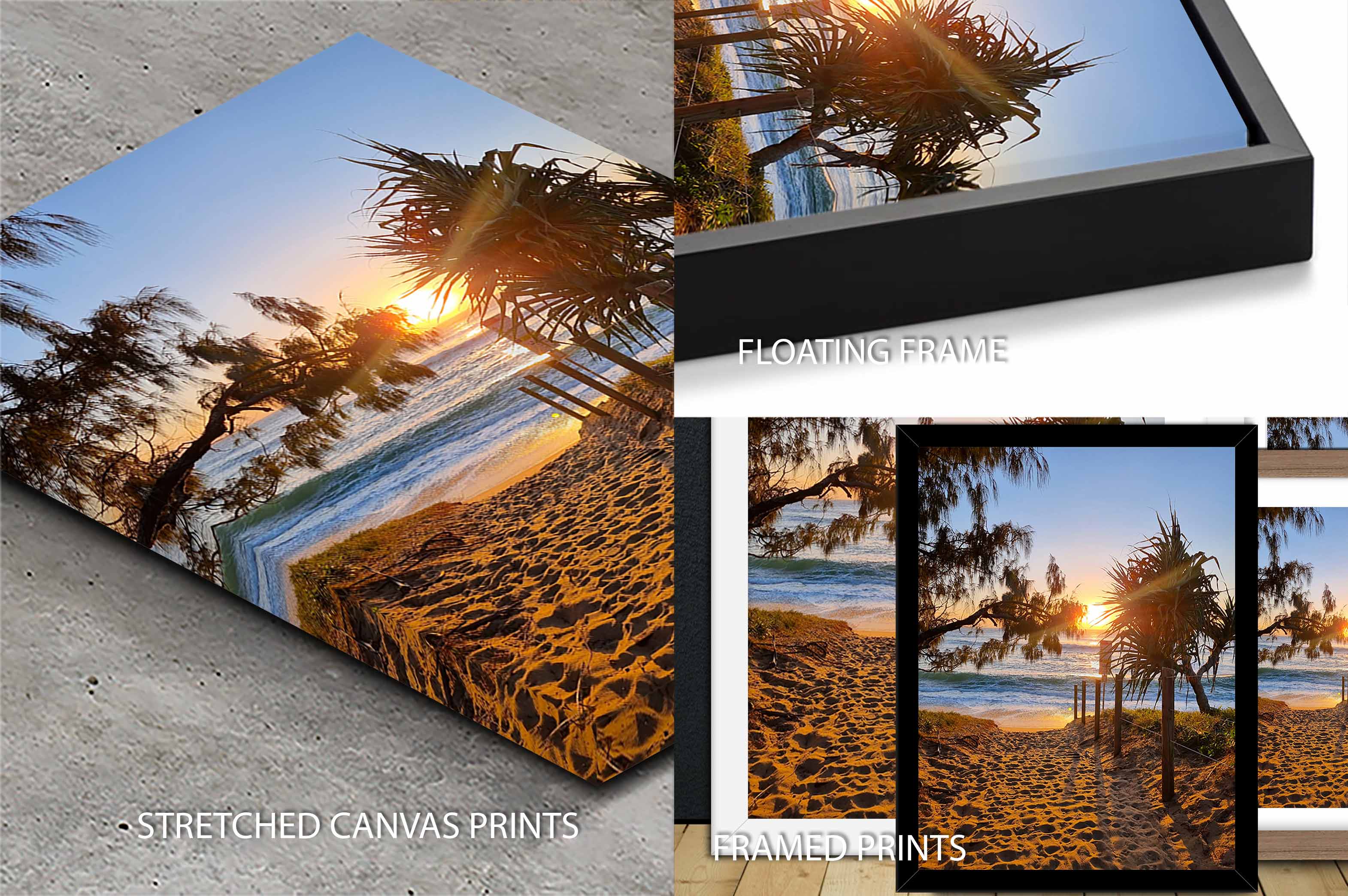 Bright Path To Freedom