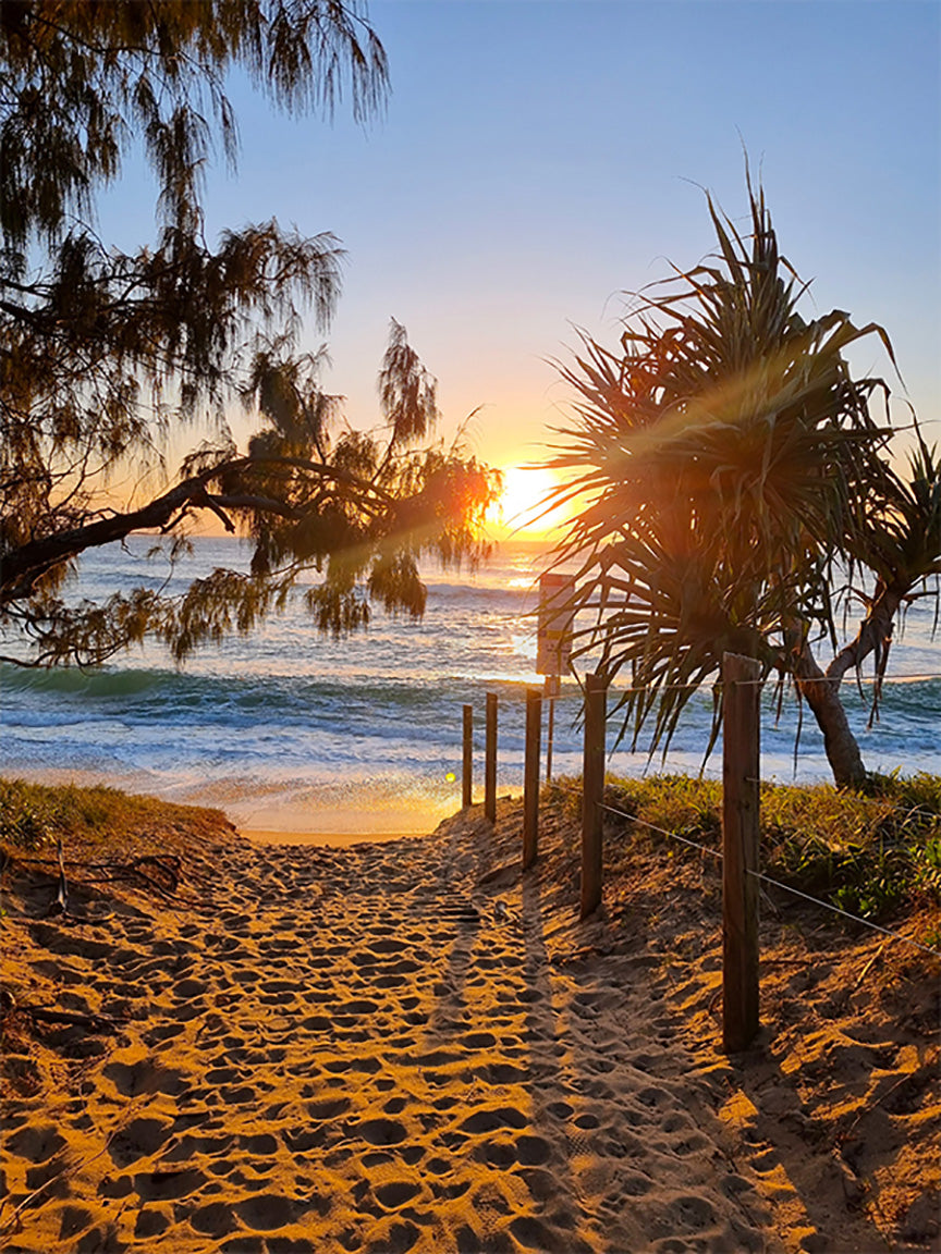 Bright Path To Freedom