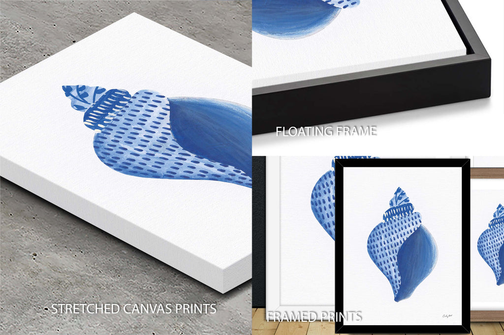 Chinoiserie Shells I