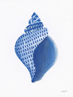 Chinoiserie Shells I