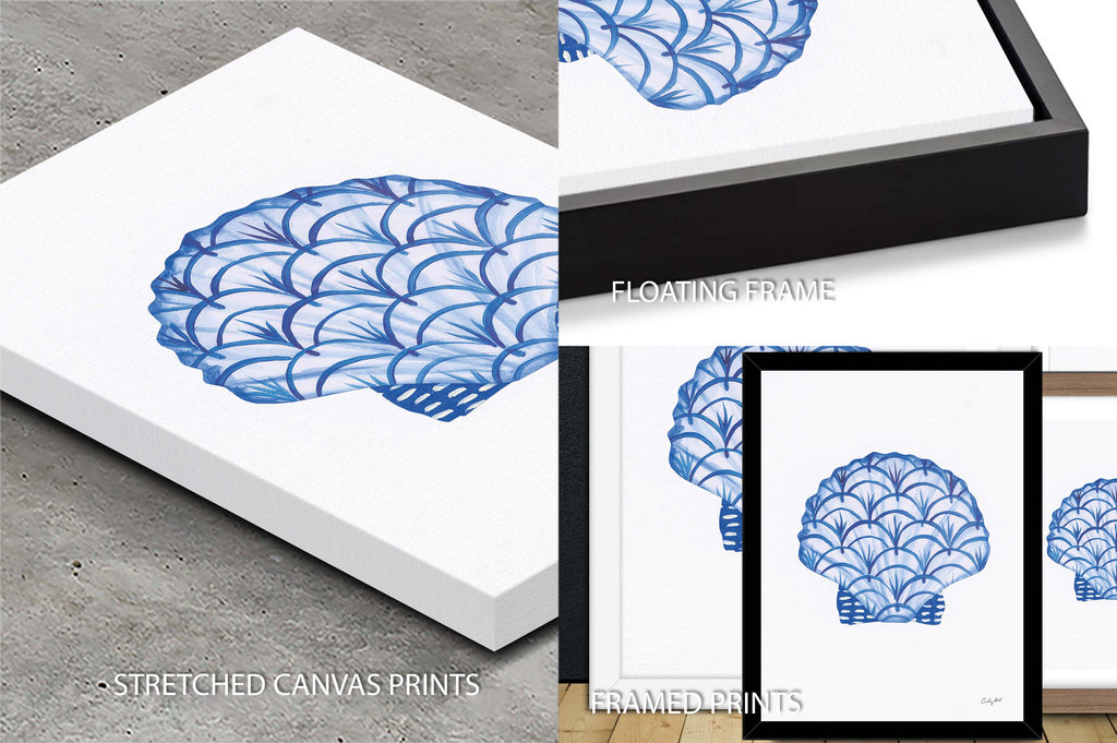 Chinoiserie Shells II