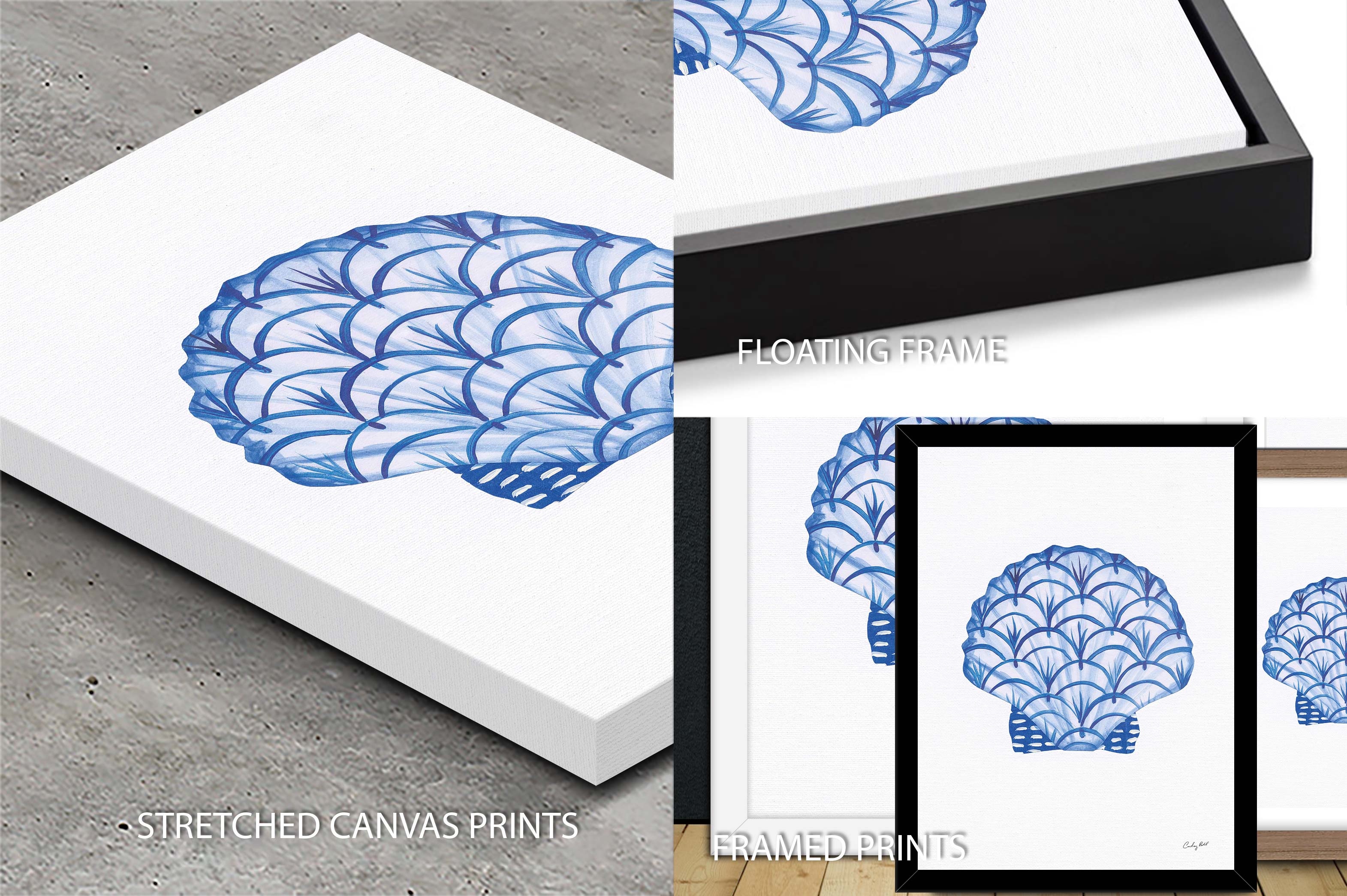 Chinoiserie Shells II