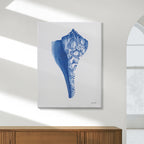 Chinoiserie Shells III