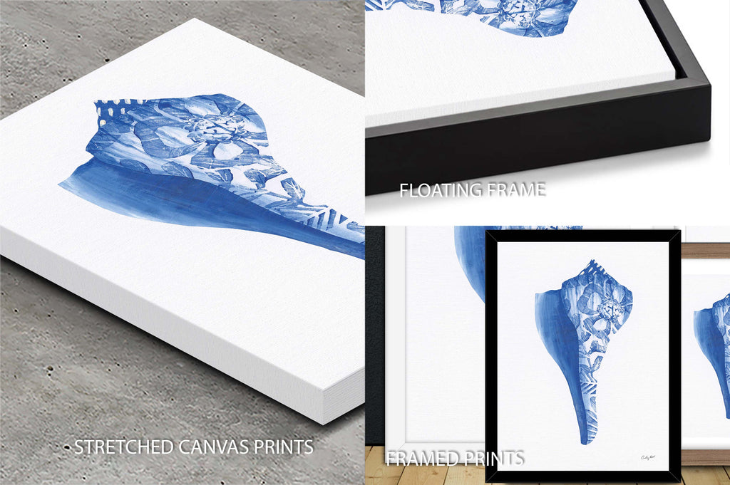 Chinoiserie Shells III