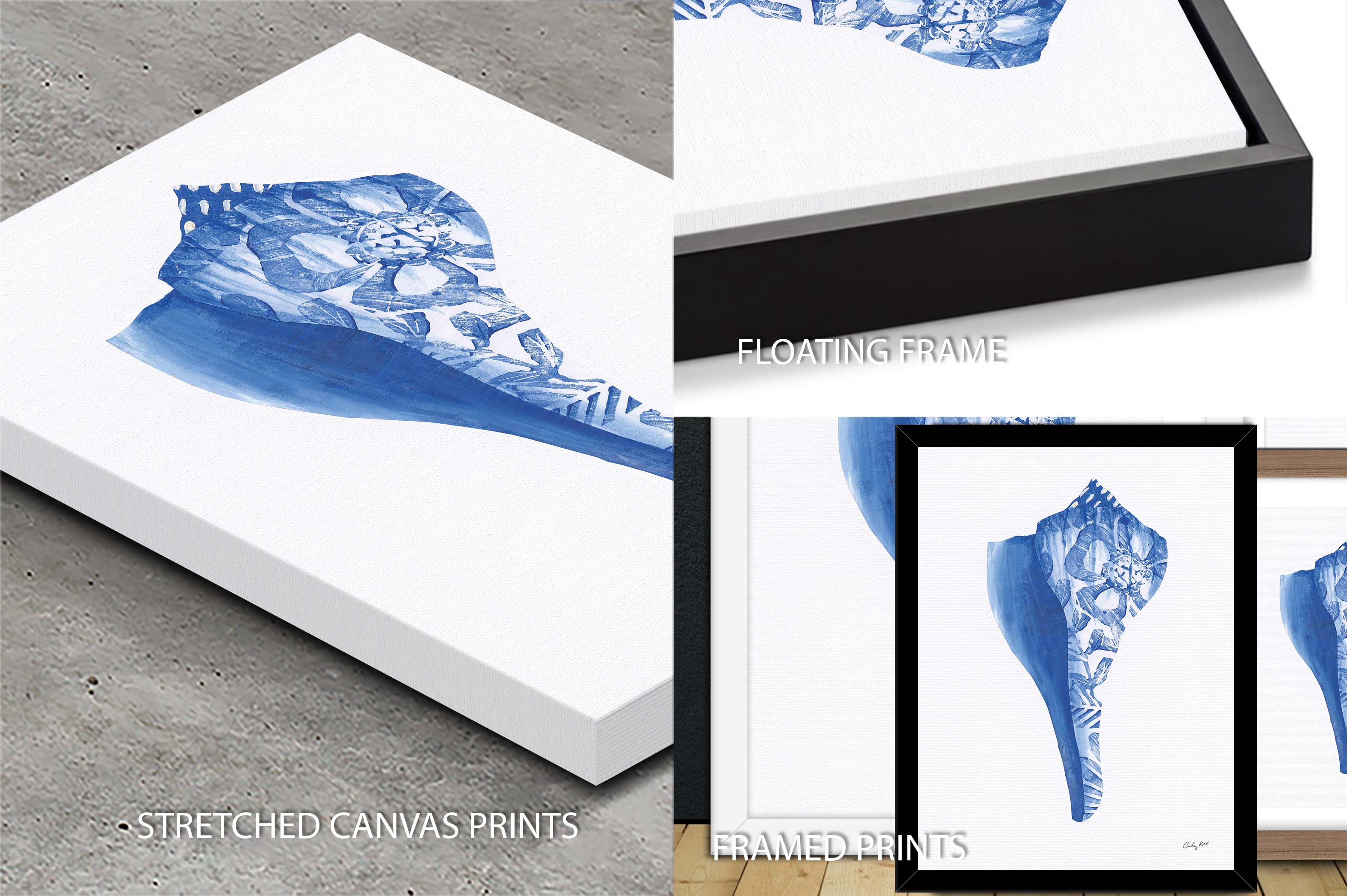 Chinoiserie Shells III