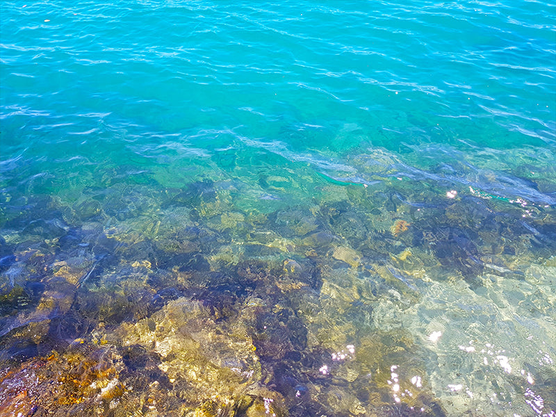 Clear Waters