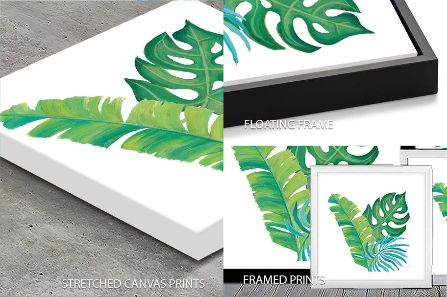 Coconut Palm VII archival paper print