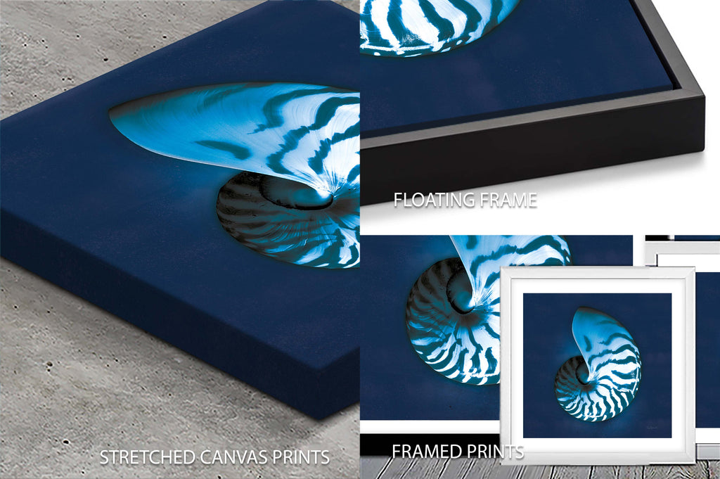 Cyanotype Sea I — Sue Schlabach