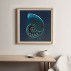 Cyanotype Sea II by Sue Schlabach