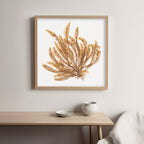 Pacific Sea Mosses VII White