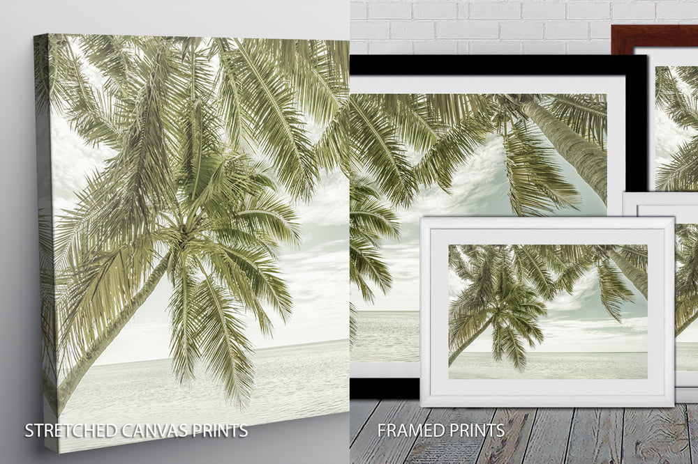 Florida Vintage Ocean View