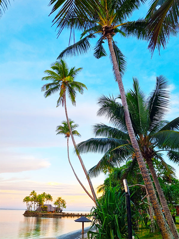 Fiji Tropica Oasis