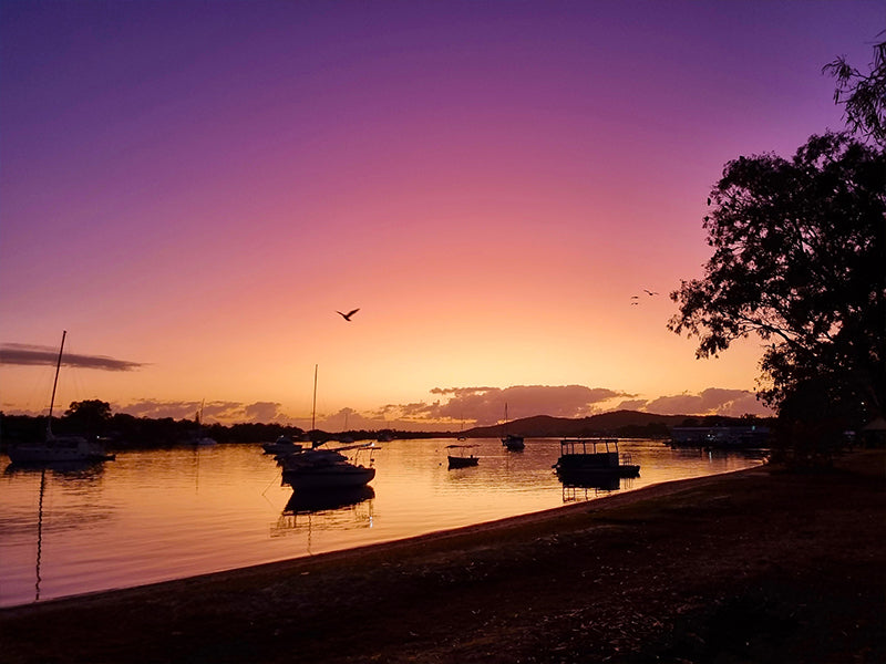 Flying Into A New Day