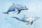 Graceful Dolphins I