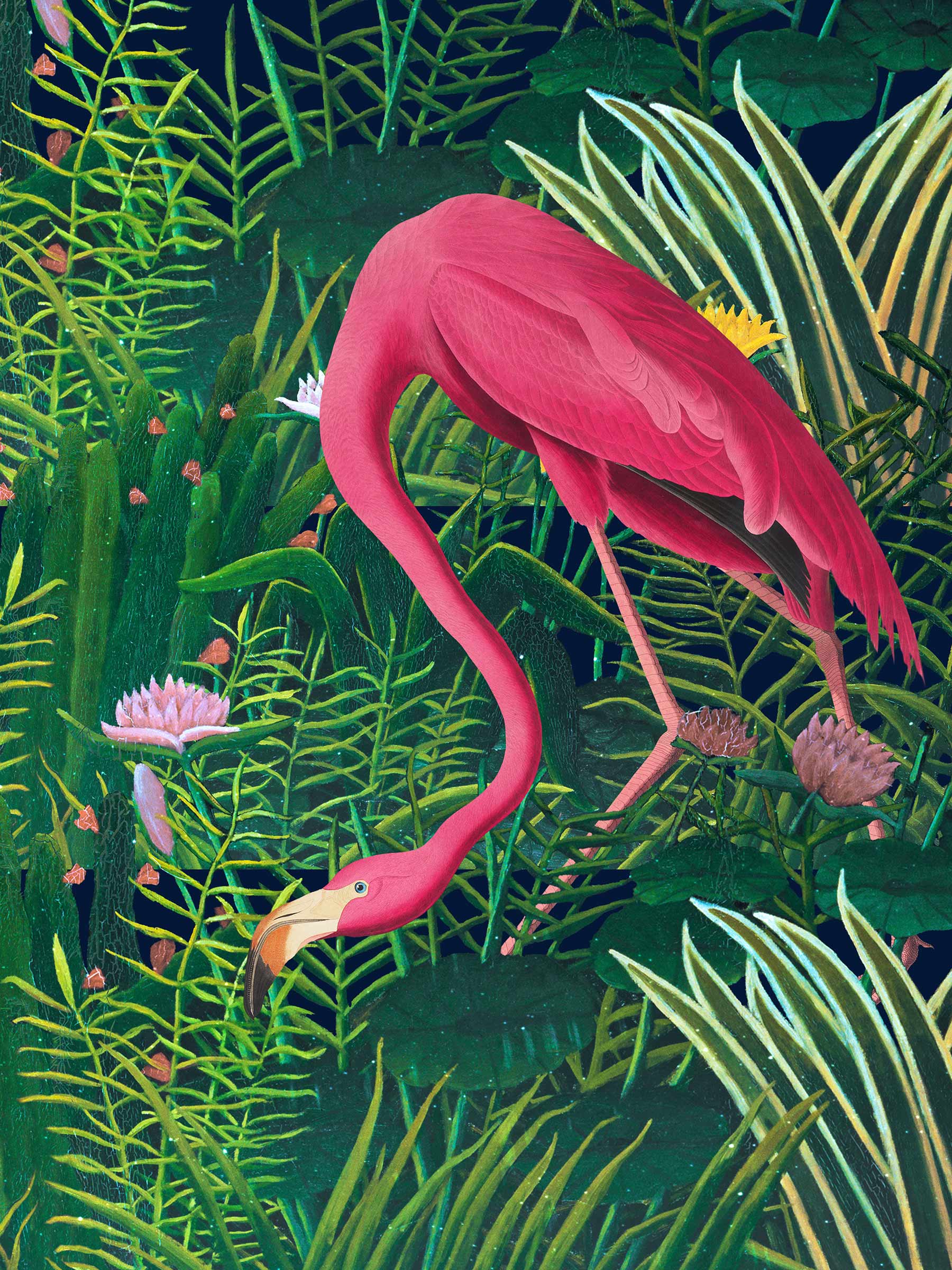 Henri Rousseau–Audubon Tropical Portrait Layout