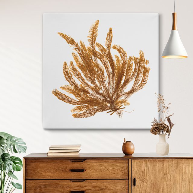 Pacific Sea Mosses VII White