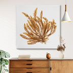 Pacific Sea Mosses VII White