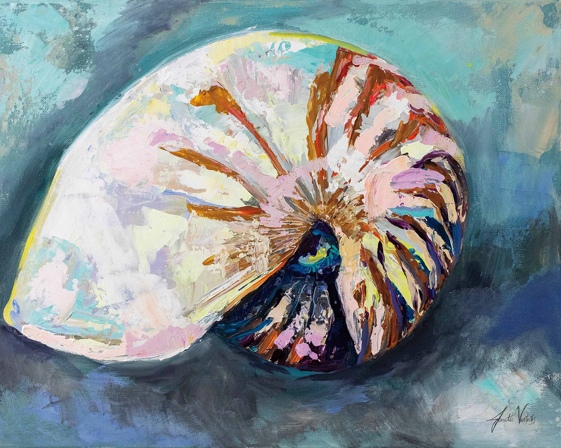 Nautilus Shell – Salt and Sol
