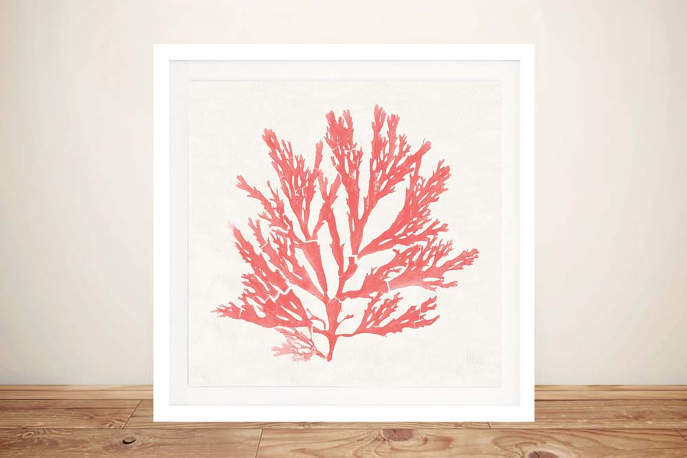 Pacific Sea Mosses I Coral