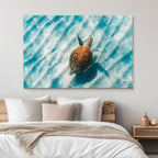 Sandbar Sea Turtle II