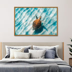 Sandbar Sea Turtle II