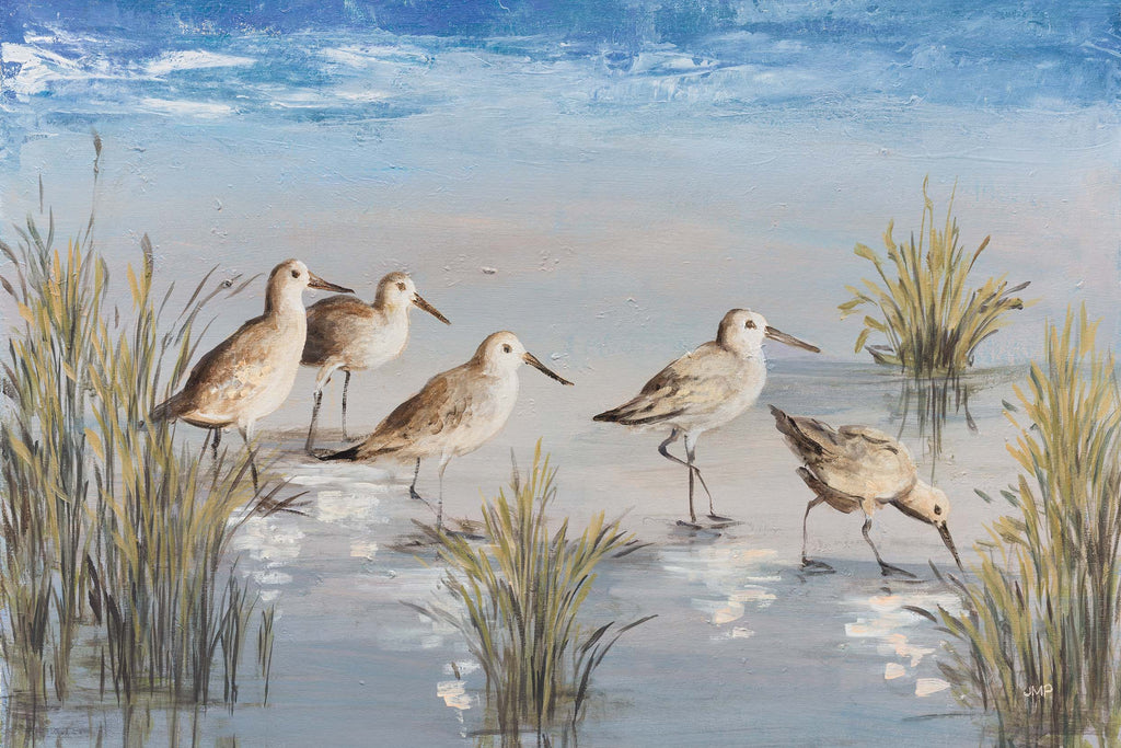 Sandpiper Stroll