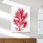 Sea Oak Botanical Red Coral