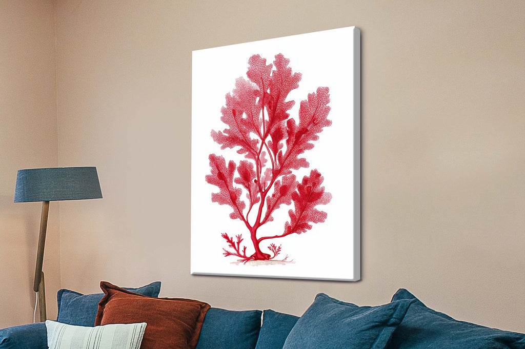 Sea Oak Botanical Red Coral