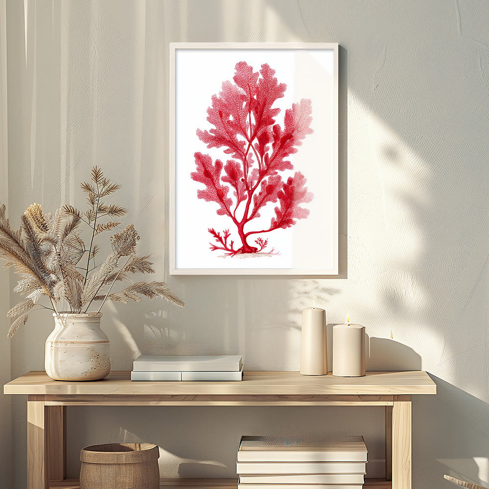 Sea Oak Botanical Red Coral