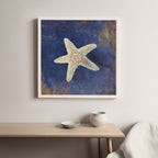 Treasures from the Sea Indigo IV