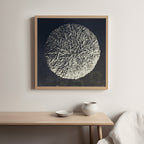 Urchin Still Life IV