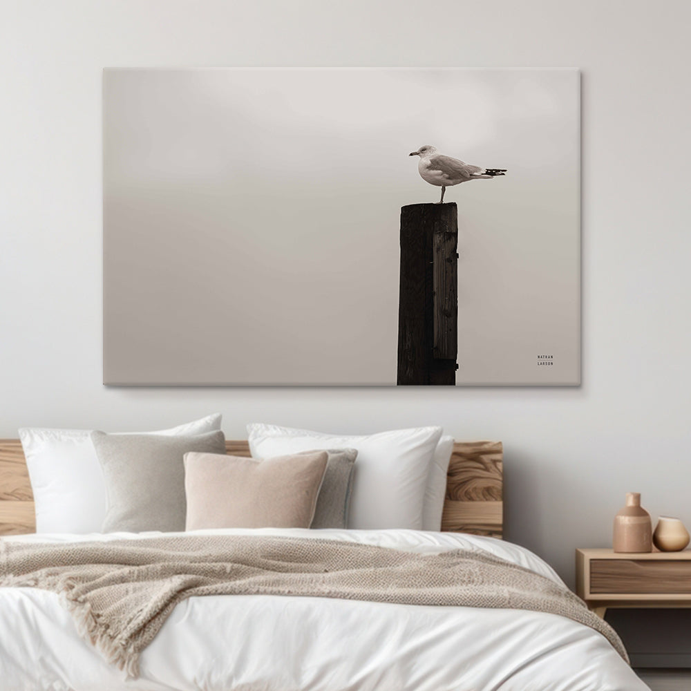 Watching the rain Fall