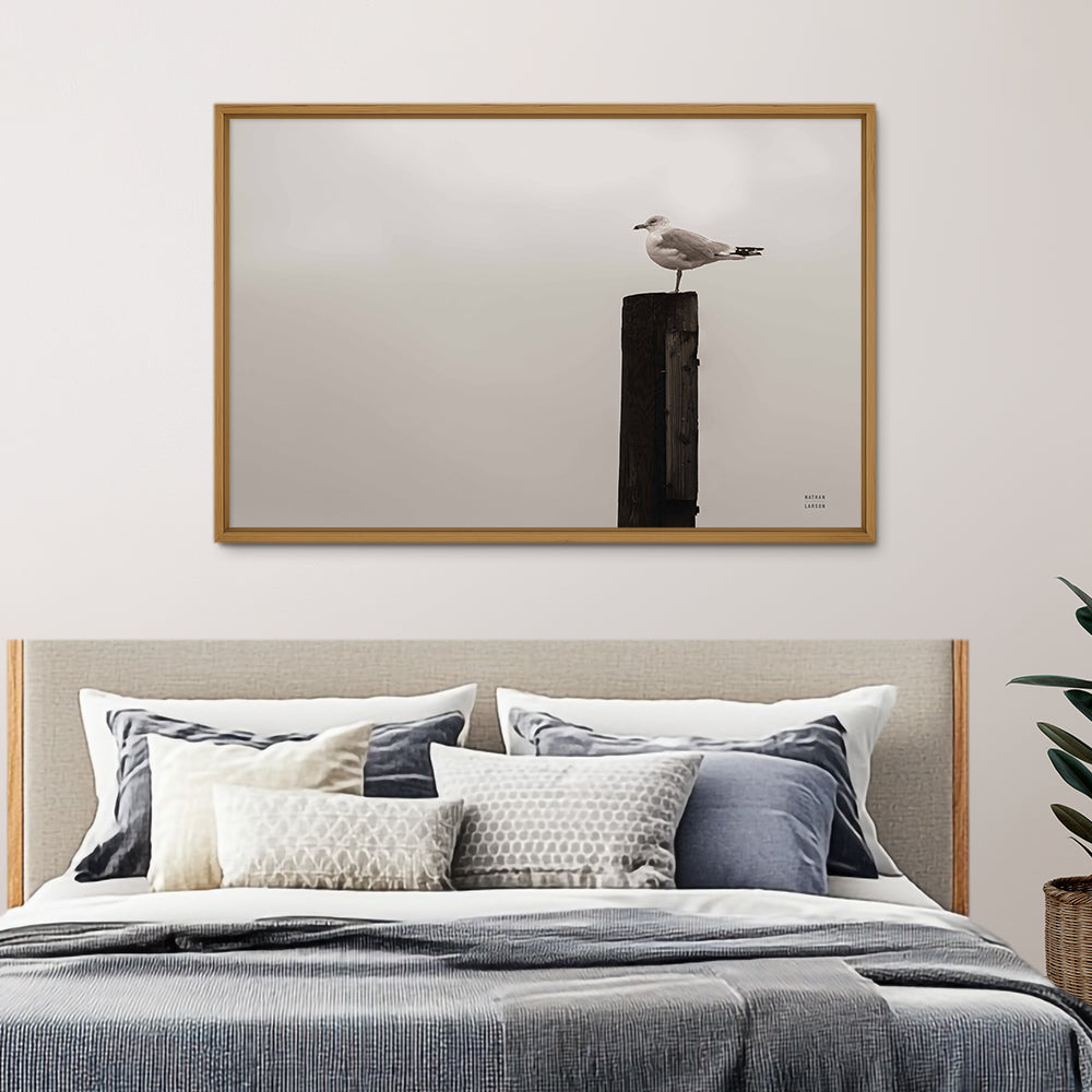 Watching the rain Fall